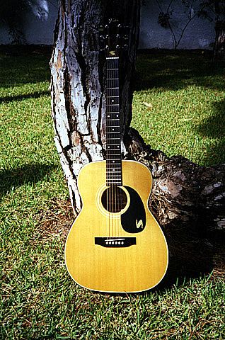 Fender F-25
